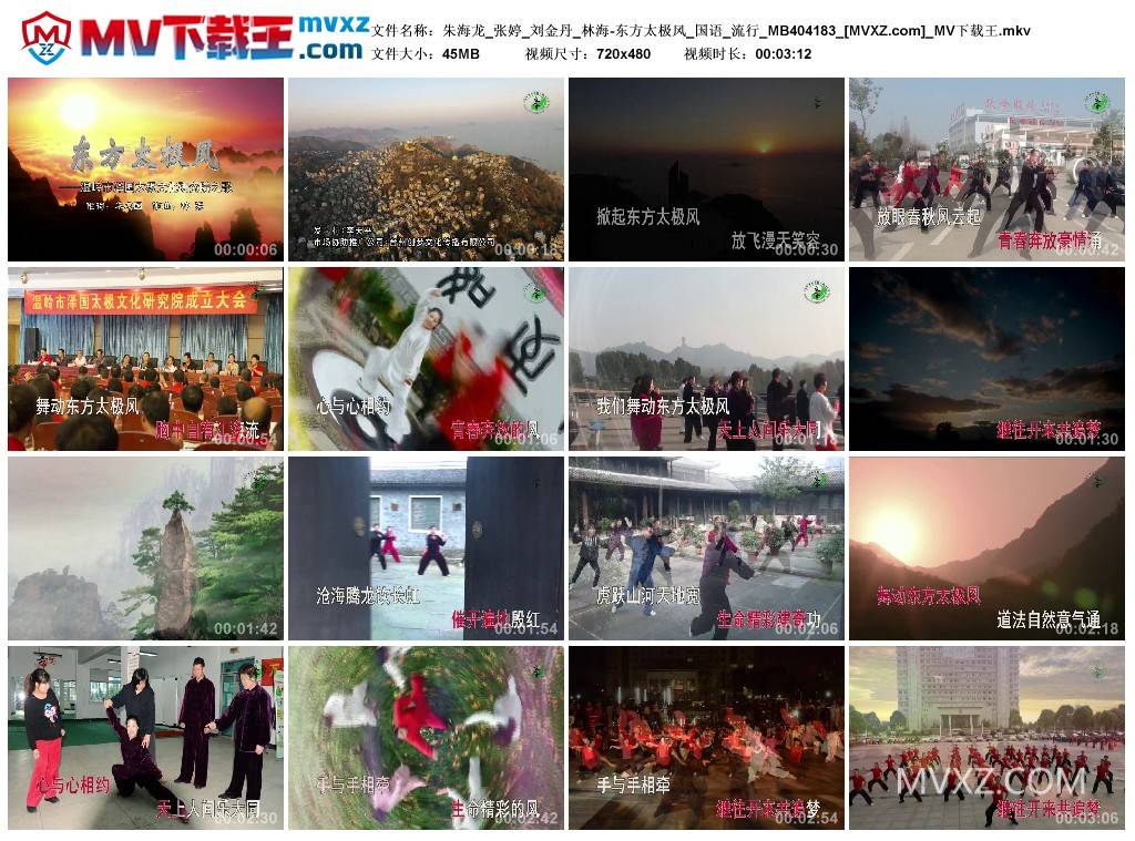 朱海龙_张婷_刘金丹_林海-东方太极风_国语_流行_MB404183